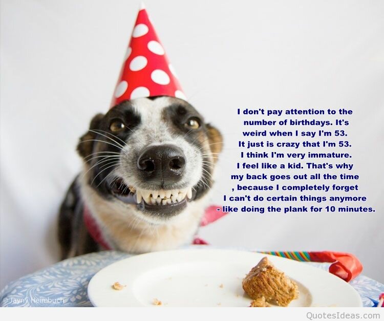 Geburtstag Hund Lustig