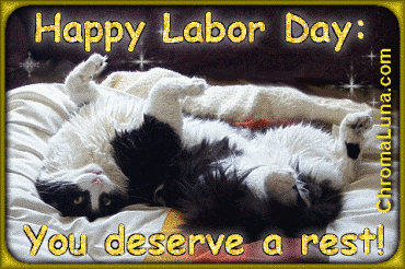 Monday 07-09-2020 - Labour Day - The Daily Kitten