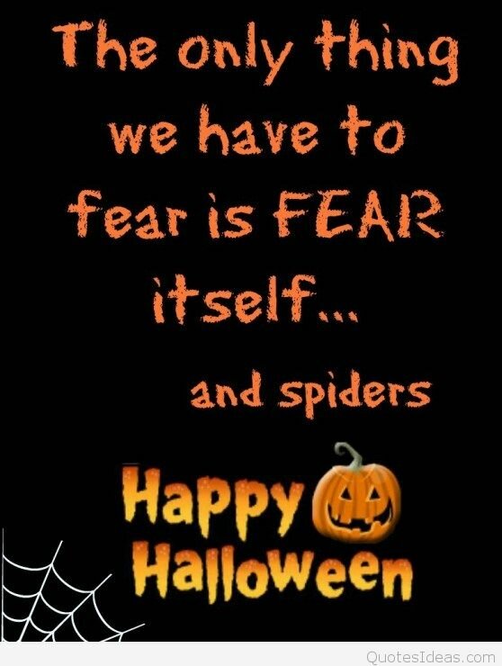 Funny Happy Halloween quote image