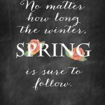 Amazing quote about Spring with flowers