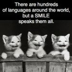 Sweet quote about smile with image