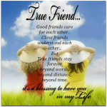 True friend quote on picture