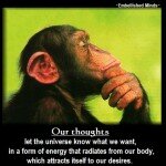 Wisdom Motivational Quote with a monkey photo