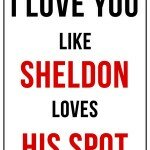 i-love-you-like-sheldon-loves-his-spot-funny-quote-random-quotes-about-love-and-romance