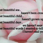most-romantic-quotes-5